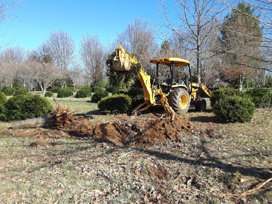 digging up digging up