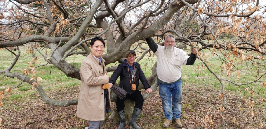 visitors from Tokyo visitors from Tokyo